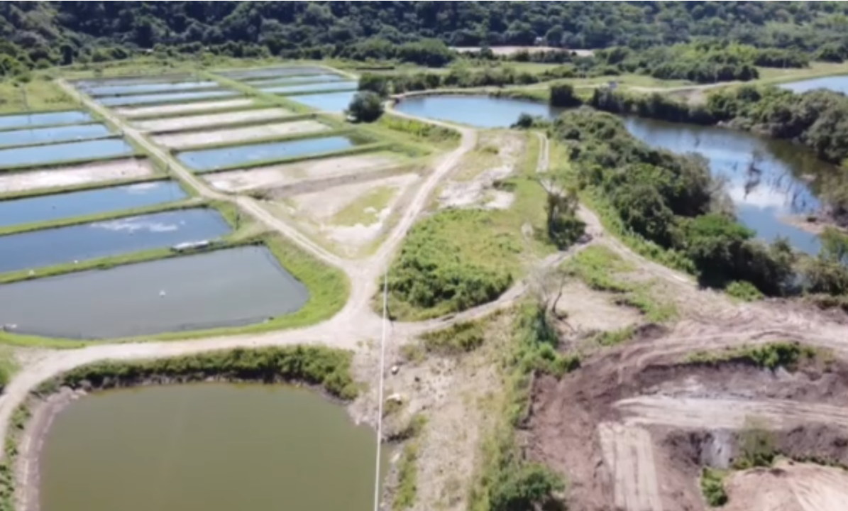 Diseño y Desarrollo Tecnológico Avanzado