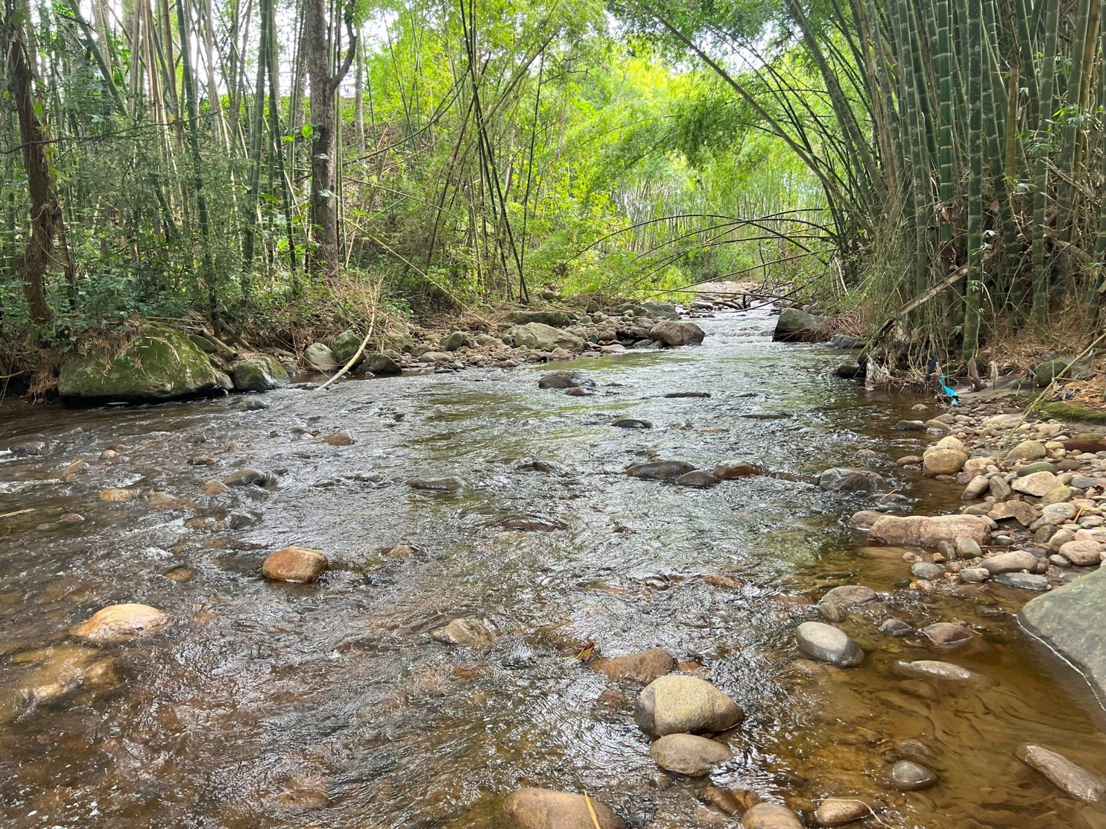Con tecnologías avanzadas para la reutilización y conservación del agua