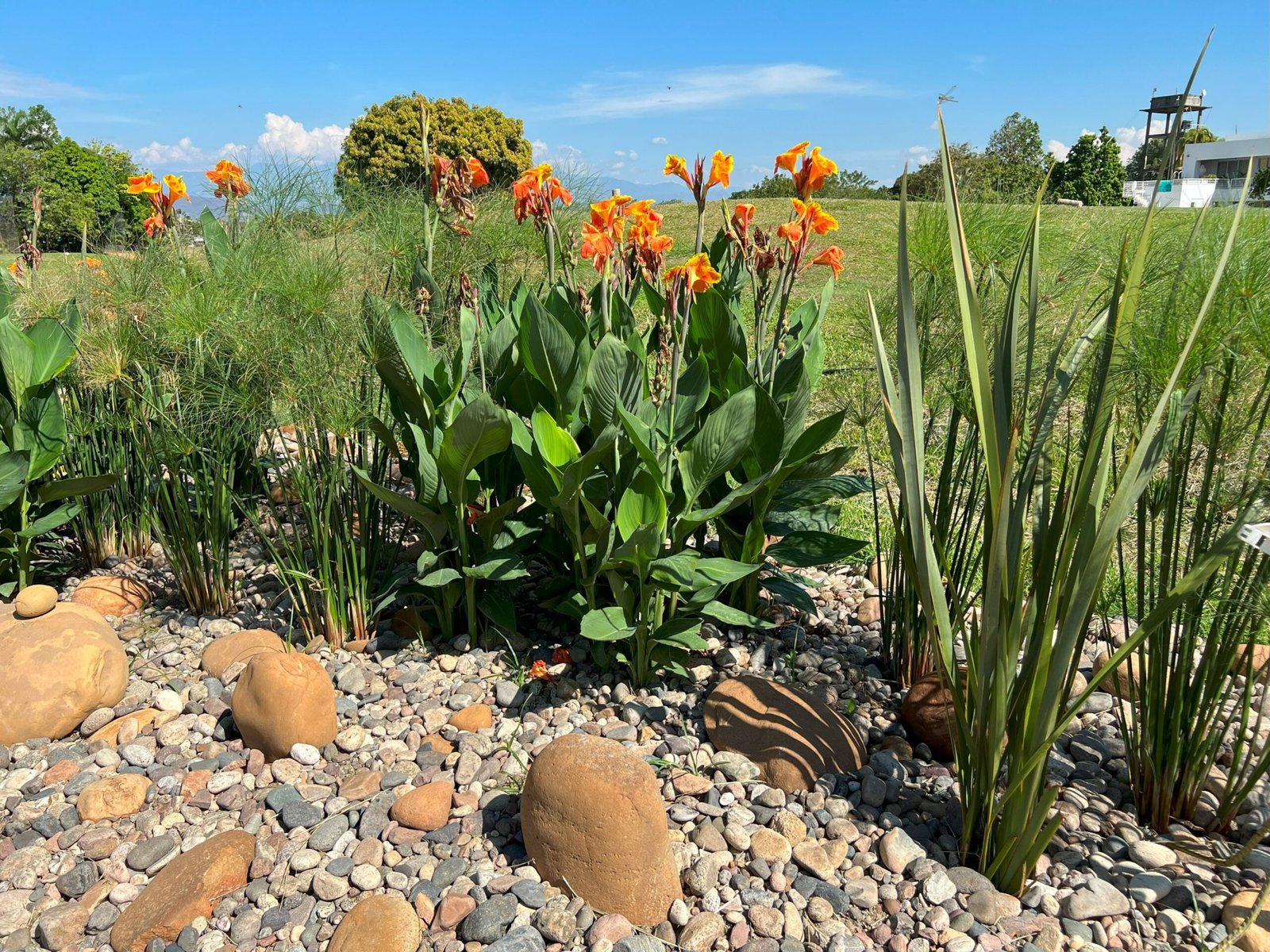 Optimización Integral de Sistemas para Mejorar Funcionalidad y Rendimiento