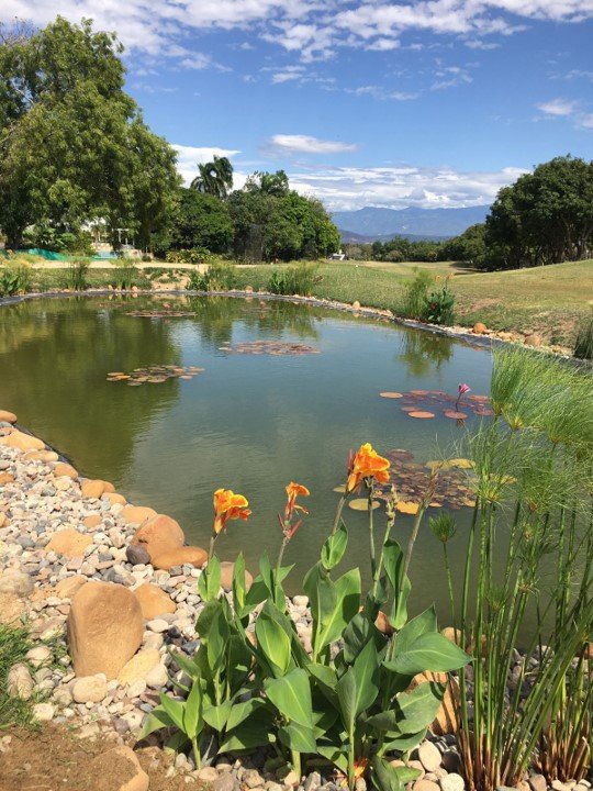 Diseño y Desarrollo Tecnológico Avanzado